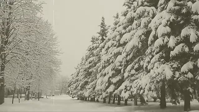 Курган бессмертия зимой(Брянск) смотреть онлайн