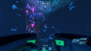 ВХОД В ЗАТЕРЯННУЮ РЕКУ И ЛАВОВУЮ ЗОНУ В SUBNAUTICA
