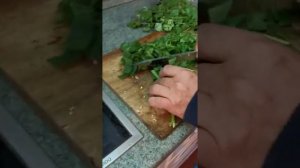 Готовим вкуснейший ежовик гребенчатый с зеленью