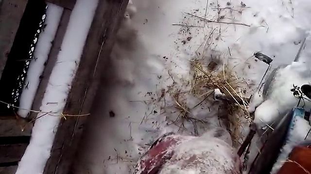 Заводим мотоцикл минск в -40. смотреть онлайн