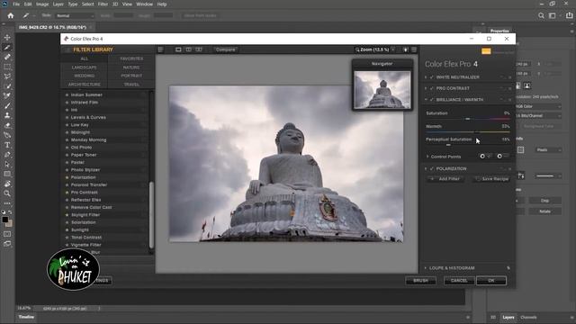 Fully Editing a Professional Looking Image for Beginners - Lightroom - Photoshop - Nik Collection смотреть онлайн