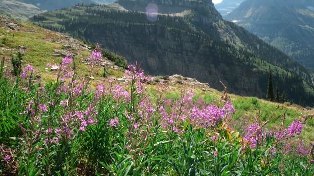GLACIER NATIONAL PARK- The Highline Trail смотреть онлайн