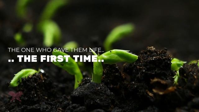 Muslim Life - Ya Sin - In English. Multiple Voiceovers. смотреть онлайн