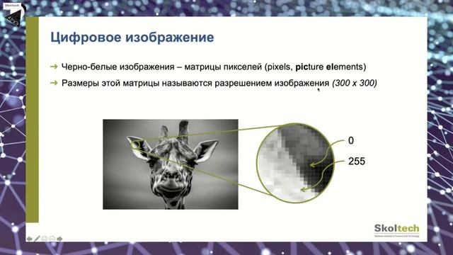 Онлайн-лекция 