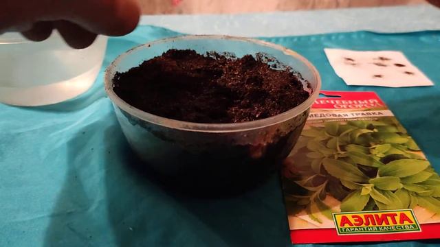 Стевия смотреть онлайн