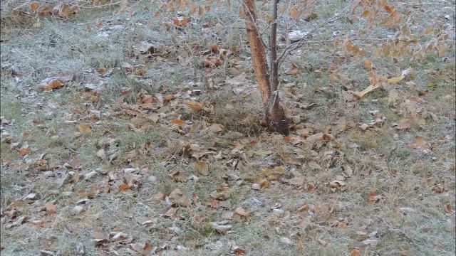 И это только конец ноября (Ноябрьская зима). смотреть онлайн