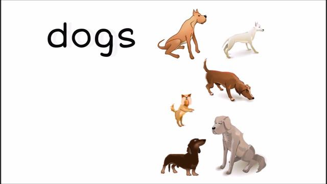 All About Nouns: English Grammar For Kids - FreeSchool