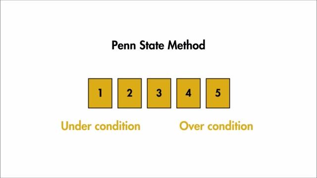 Руководство по оценке упитанности смотреть онлайн