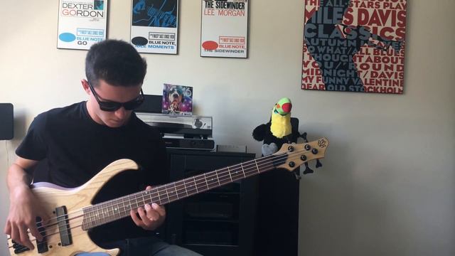 Bass Guitar Duo - Fender Jazz and Ibanez BTB Volo Demo смотреть онлайн
