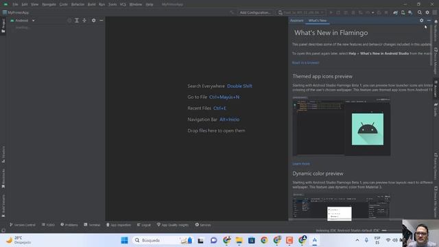 Descarga, instalación y configuración previa de android studio Flamingo 2022.2.1.18 смотреть онлайн