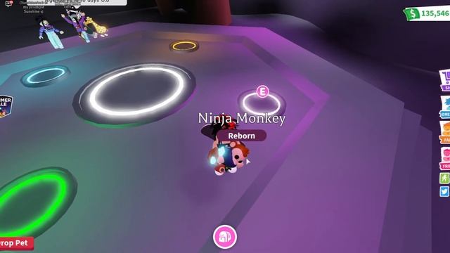 Making 24 Neon Legendarys + Neon Ultra rares WITHIN 3 DAYS ?! Adopt me смотреть онлайн