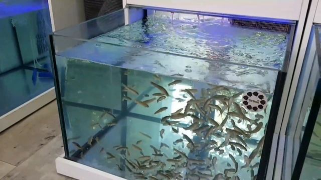 Абсолютно НЕсовдеповский прибрежный город в Крыму с проевропейской энергетикой. смотреть онлайн