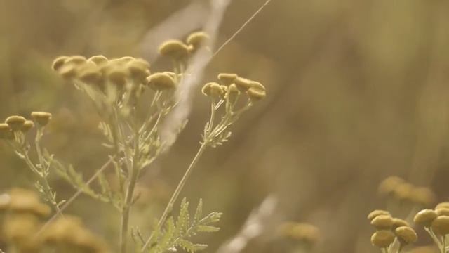 Матрасы и подушки TEMPUR