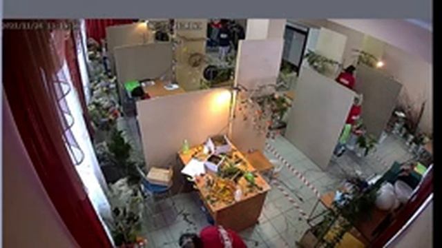 РЧ Томск, АТпромИС Флористика 2021 смотреть онлайн