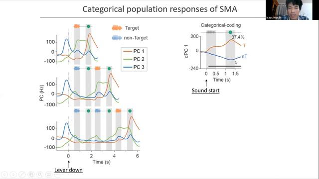 Talk: Neural correlates of auditory categorization in the supplementary motor area смотреть онлайн