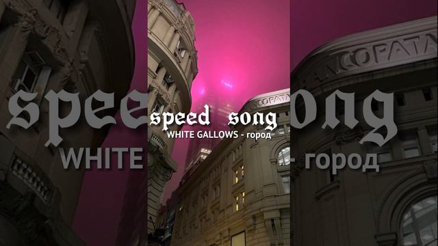 WHITE GALLOWS -  город // Speed Song