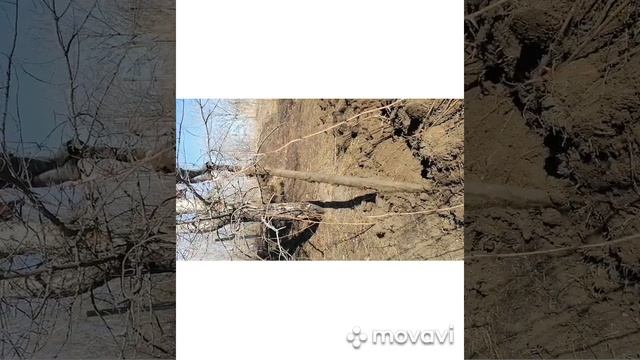 Чугунная труба! Лебёдка в деле?? смотреть онлайн