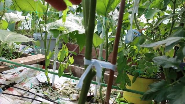 Строительный Расколбас