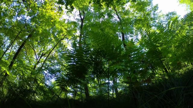 Relaxing sleep music,Deep sleeping music,meditation music смотреть онлайн