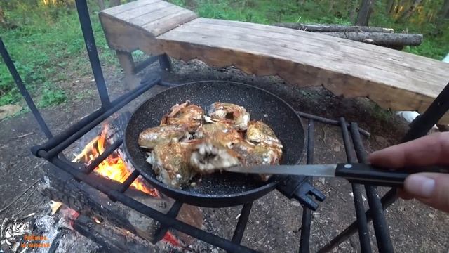 Первый день на избушке. ЗАПРЕТ на работы. Квадрокоптер в деле.DJI mini 3 pro смотреть онлайн