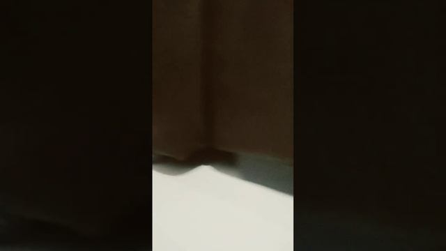 15 De Fevereiro De 2024