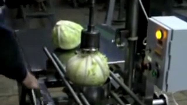 Машина для удаления кочерыжек из капусты смотреть онлайн