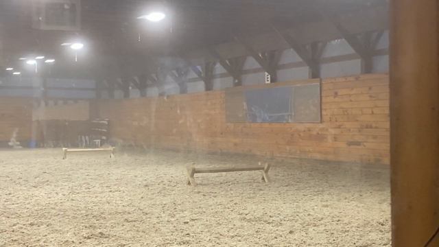 Julia Morgan and Cairo W no stirrups work - Lesson 2/26/21 смотреть онлайн