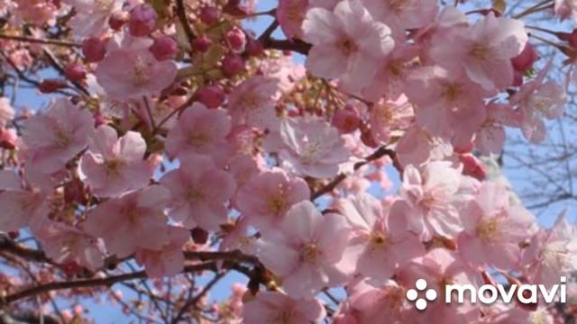 Мантра Лакшми смотреть онлайн