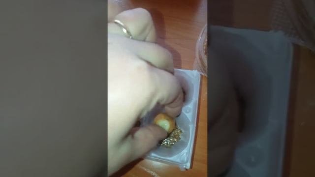 Посадка лука на перо в тару из под яиц смотреть онлайн