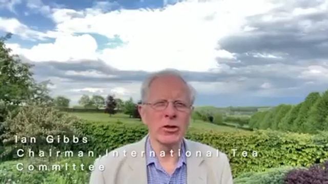 International Tea Day смотреть онлайн