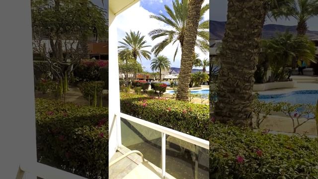 San Jose del Cabo, Mexico #youtubeshorts #sanjosédelcabo смотреть онлайн