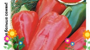 Перец сладкий Виктория. Краткий обзор, описание характеристик, где купить семена cápsicum ánnuum