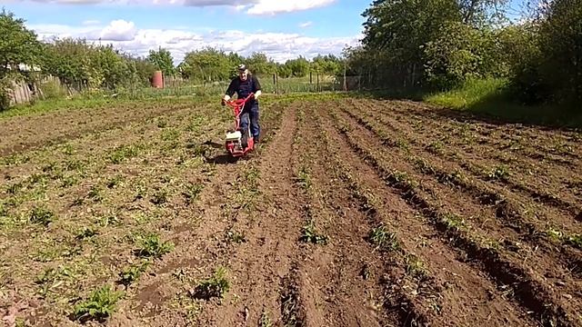 Прополка междурядий. Пропольник рыхлитель. Мотоблок Propoline Ripper. Agat Tillage