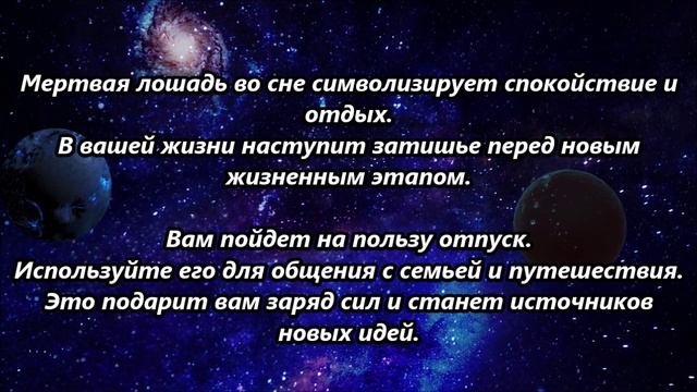 К чему снится лошадь.mp4 смотреть онлайн