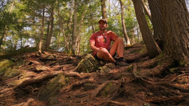 Однодневное Голодание, Аутофагия и её Польза смотреть онлайн