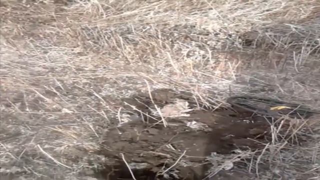 очкарик !1 коп 2016 года!!bespectacled! 1 kop 2016 смотреть онлайн