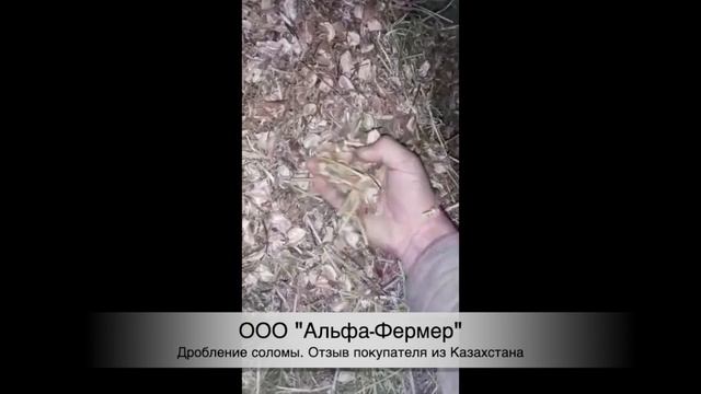 Видеотзыв Казахстан. Зернодробилка Шмель 3 кВт. Измельчение соломы хлопка. смотреть онлайн