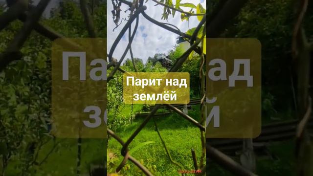500 за сотку нормально? Сколько💰у вас земля стоит? #житьвсочи #купитьучасток смотреть онлайн