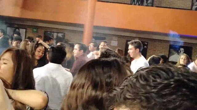 Mamboo cafe Mexico City смотреть онлайн