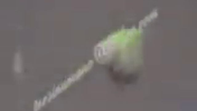 Brachydanio rerio green (Teosinumano). смотреть онлайн