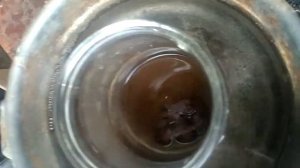 Растворение золота в соляной кислоте.