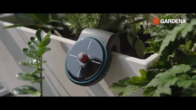 Сад мечты с Gardena