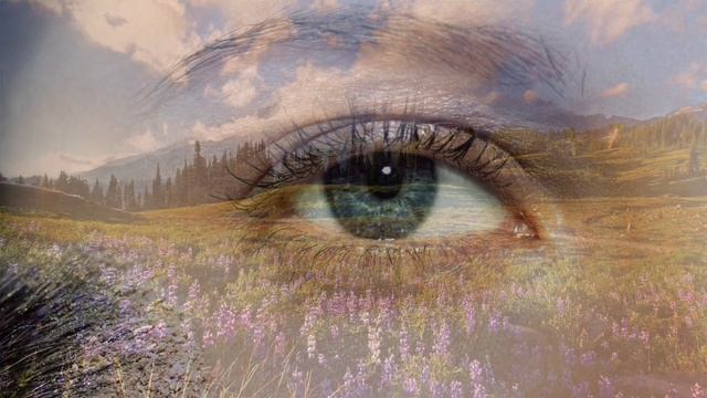 Неоконченный роман. Исполняет автор - Александр Травин. арТзаЛ смотреть онлайн