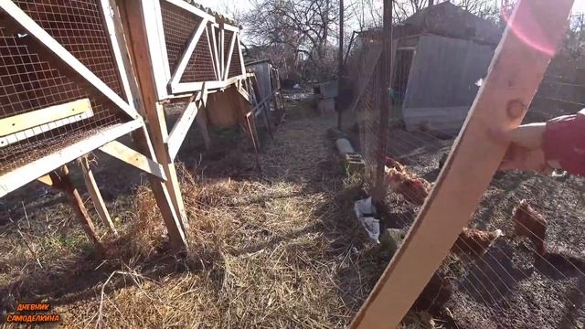 ? ГНЕЗДА ДЛЯ НЕСУШЕК - ДОРАБОТКА! Много вопросов.... ? смотреть онлайн