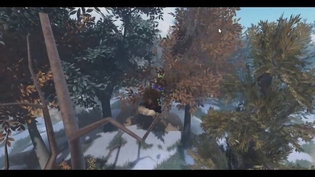 Путеводитель по деревьям ( 6 выпуск ) - кривое дерево. Коты Воители в Роблокс. смотреть онлайн