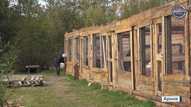 Поддержка для приютов смотреть онлайн