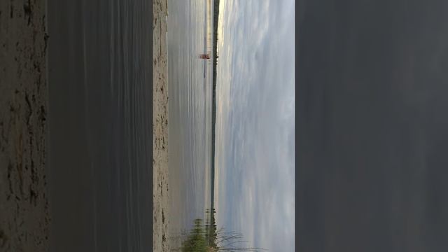 Купальный сезон 2021 открыл смотреть онлайн