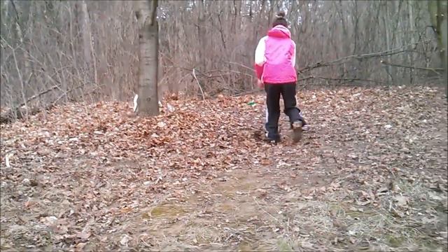 Jack Russell Terrier Jenny - Verge Commands (toč-alt) смотреть онлайн