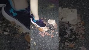 sneaker crush- random food crush