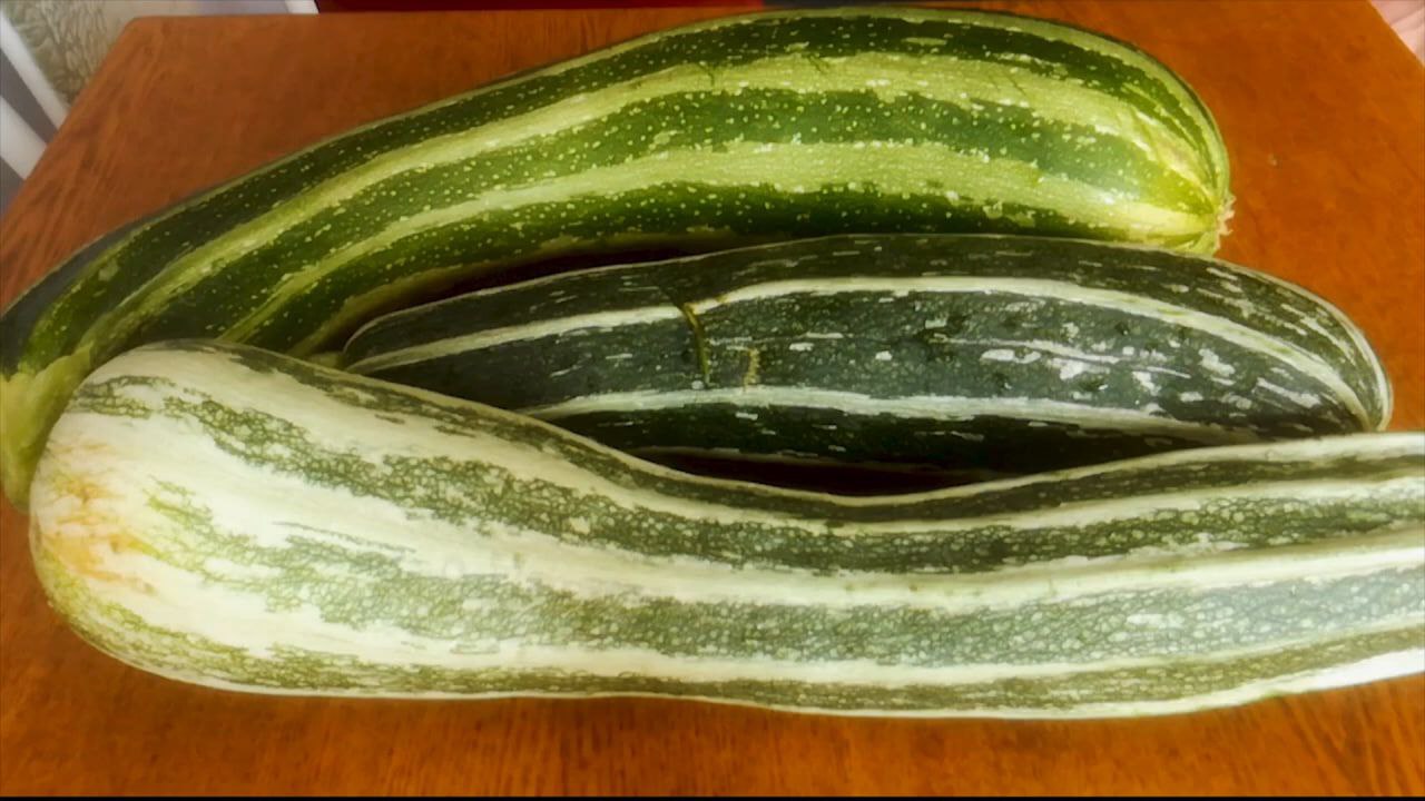 Маринованные кабачки, рецепт приготовления. смотреть онлайн